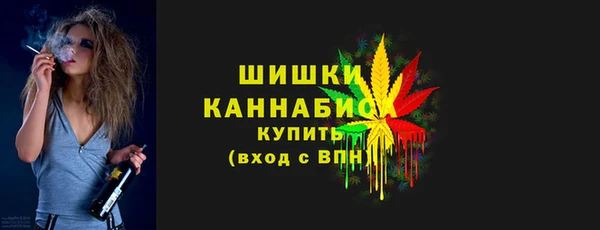 молекула духа Покровск