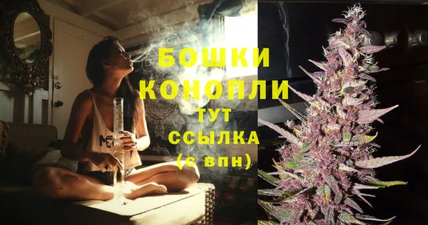 шишки Абдулино