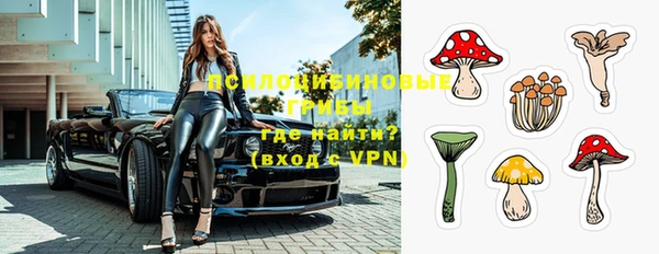 шишки Абдулино