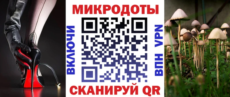 купить наркотик Алейск Галлюциногенные грибы Psilocybine cubensis